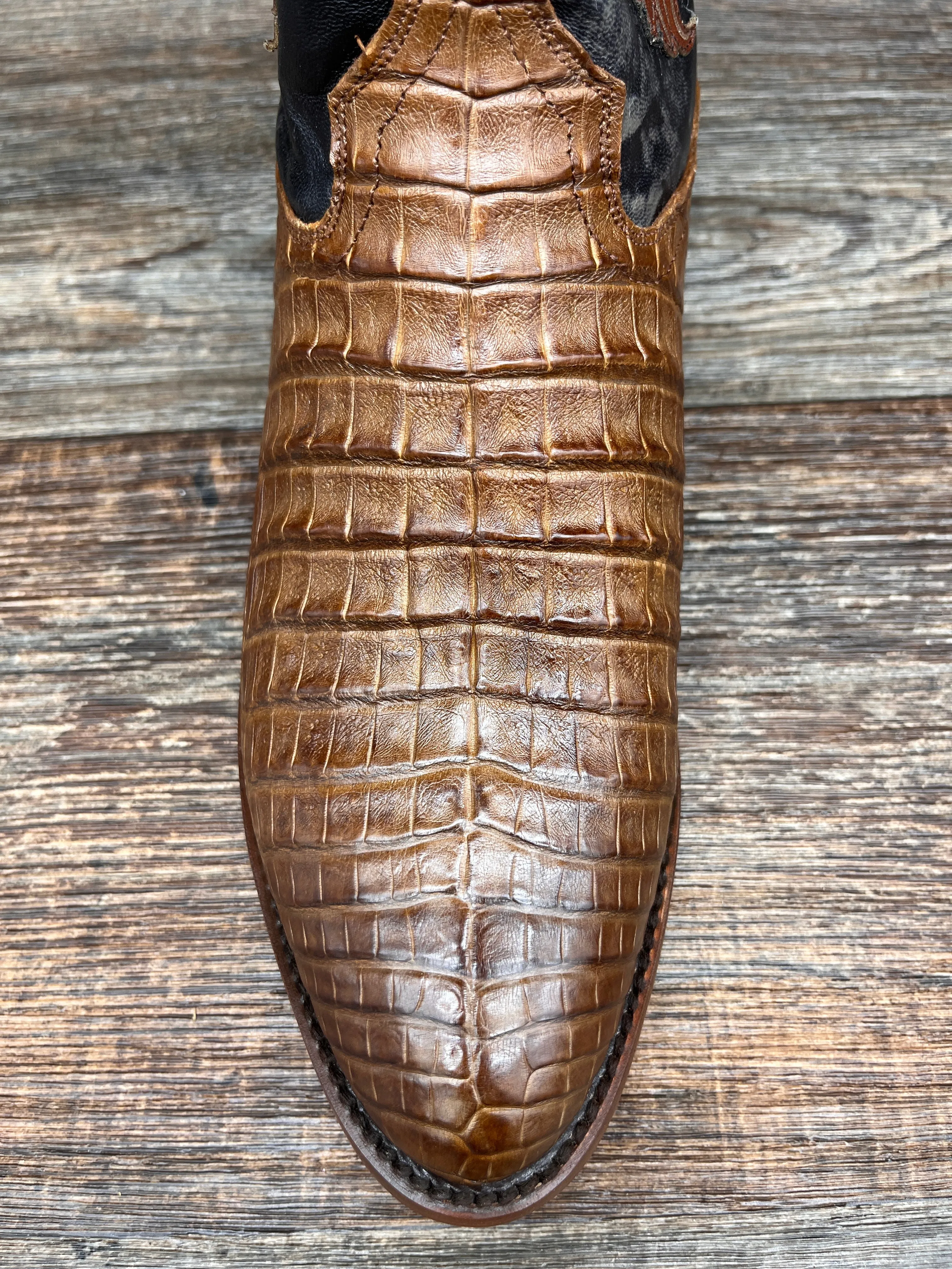 dp3069 Men's Socrates Genuine Caiman Belly Western Boot by Dan Post