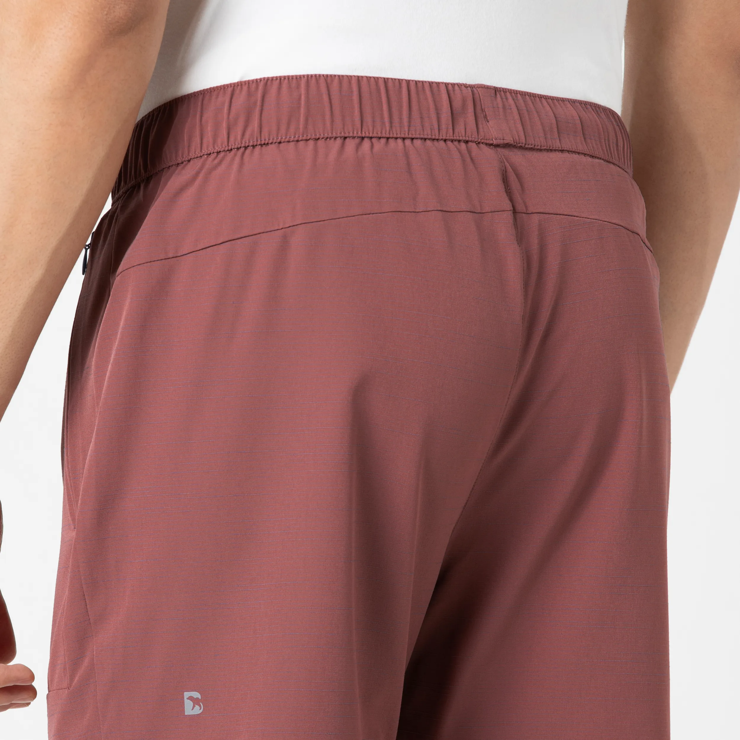 Guide Short