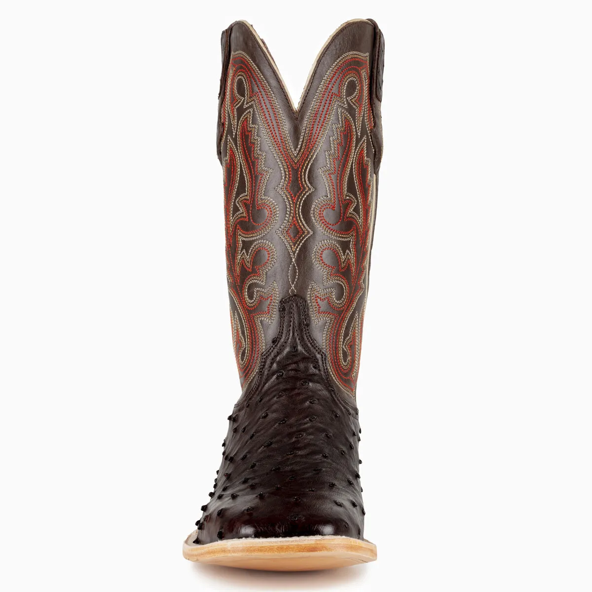 Nicotine Full Quill Ostrich
