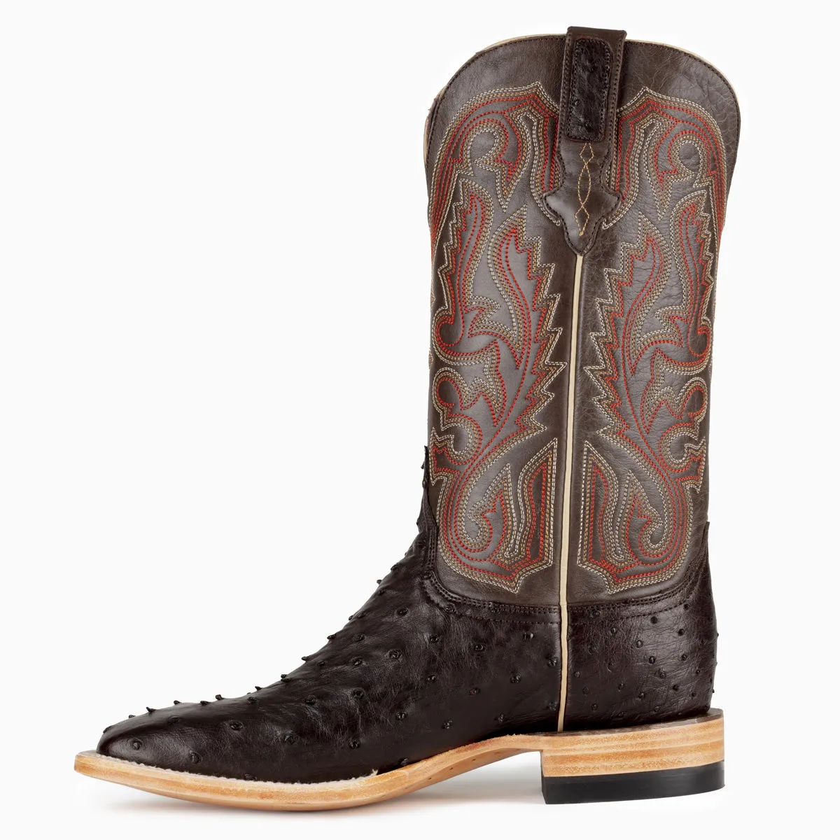 Nicotine Full Quill Ostrich