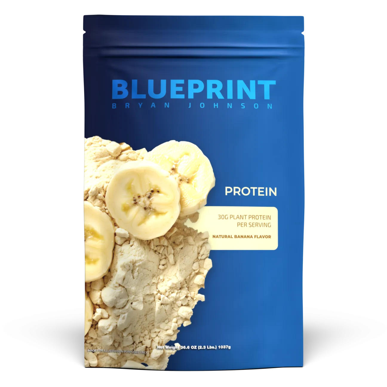 Protein