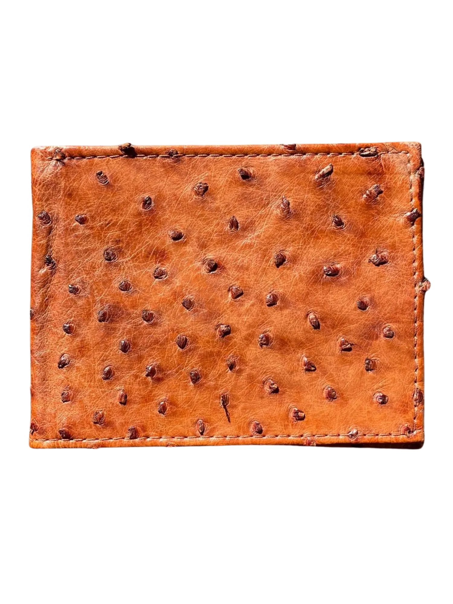 The Glades Men Wallet